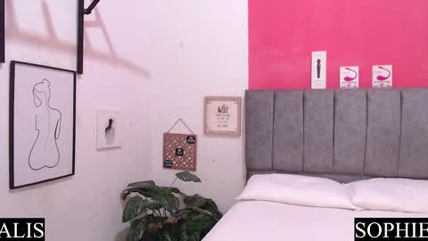 Sophie  Alis online show from 01/30/25, 10:08