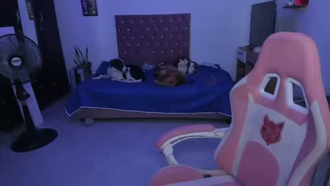 Snapshot of sophie_dolly_ chatting on 06/25/26, 02:33 sophie doll online show from 06/25/26, 02:33