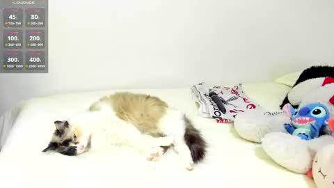 Snapshot of sophiebaker__ chatting on 09/20/25, 01:50 sophiebaker__ online show from 09/20/25, 01:50