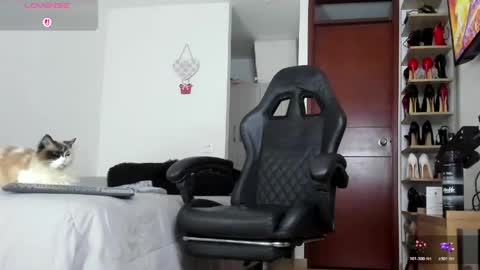 sophiebaker__ online show from 06/09/26, 02:45