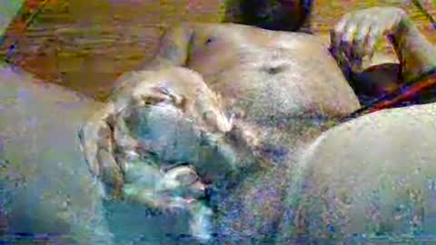 Snapshot of source1012 chatting on 12/21/24, 10:51 source1012 online show from 12/21/24, 10:51