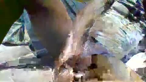 Snapshot of source1012 chatting on 01/16/25, 11:59 source1012 online show from 01/16/25, 11:59