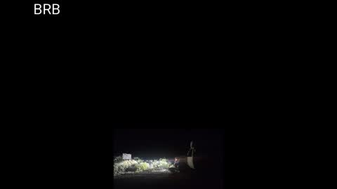 Sibyl online show from 09/10/25, 08:03