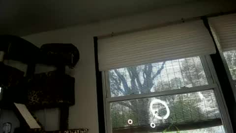 Snapshot of spankamber chatting on 06/13/26, 11:24 AmberSpanks online show from 06/13/26, 11:24