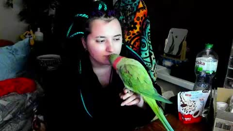 Evgenia online show from 06/05/26, 09:53