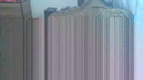 sparuzc777 online show from 04/10/26, 08:57