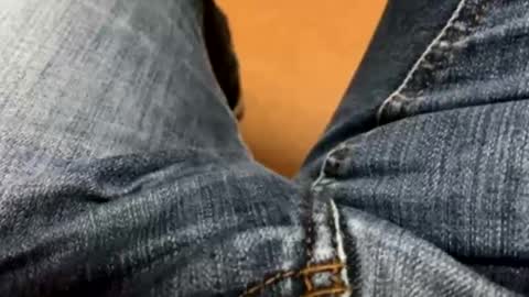 Snapshot of spass_61 chatting on 01/03/25, 03:33 spass_61 online show from 01/03/25, 03:33