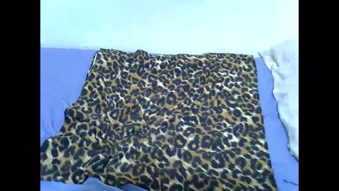 Kittle online show from 11/16/25, 04:56