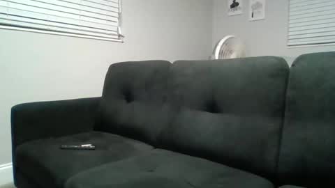 splashpattern online show from 11/17/25, 04:07