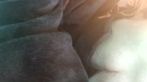 spunfuncumming online show from 07/19/26, 06:55