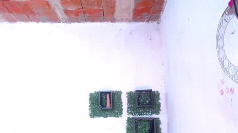 valeria online show from 01/13/25, 12:19