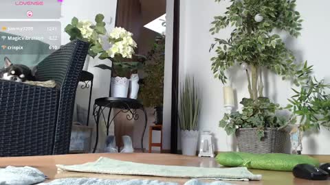 Snapshot of squirtmanica chatting on 01/01/25, 07:20 Monica online show from 01/01/25, 07:20
