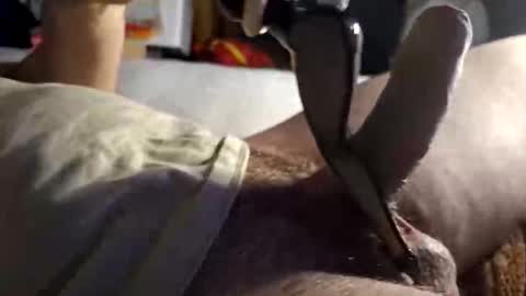 Snapshot of srb543 chatting on 12/16/25, 09:09 srb543 online show from 12/16/25, 09:09