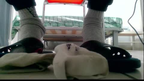 ssenzo online show from 12/10/24, 09:54