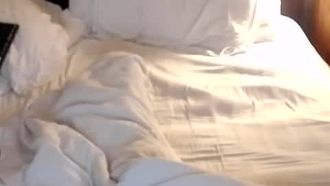 st8llion online show from 01/24/25, 07:19