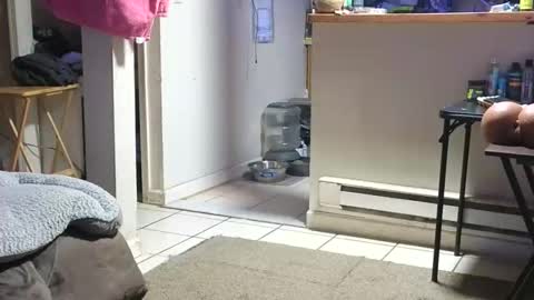 Snapshot of stacytasteme chatting on 10/23/25, 04:23 Submissive Slut LOVES adoration online show from 10/23/25, 04:23