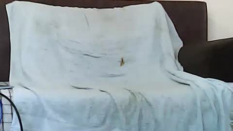 Snapshot of star0806666a chatting on 11/06/25, 10:05 star0806666a online show from 11/06/25, 10:05