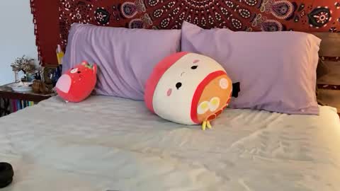 adriana torres online show from 02/22/25, 10:20