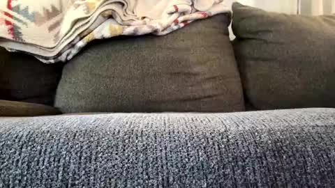 Snapshot of starr3095 chatting on 11/04/25, 03:22 starr3095 online show from 11/04/25, 03:22