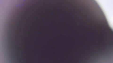 Snapshot of stefano_calle chatting on 12/03/25, 11:41 Stefano online show from 12/03/25, 11:41