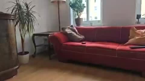 Stefan online show from 06/15/26, 06:15