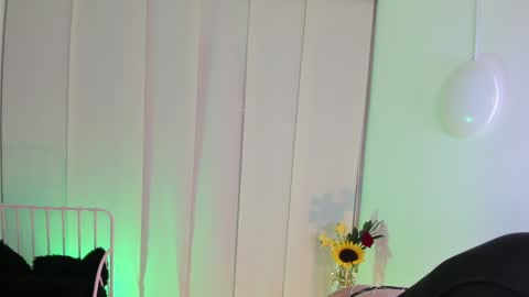 Steffy online show from 01/06/25, 06:58