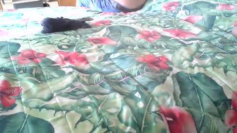 Rocco-load online show from 10/16/25, 01:56