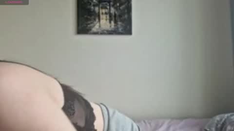 Stella online show from 11/26/25, 09:32