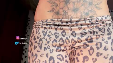 Snapshot of stellart_ chatting on 10/23/25, 04:45 stellart_ online show from 10/23/25, 04:45