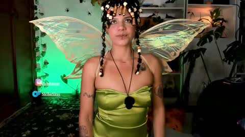 Snapshot of stellart_ chatting on 11/01/25, 04:58 stellart_ online show from 11/01/25, 04:58