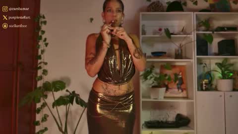 stellart_ online show from 11/28/25, 02:14