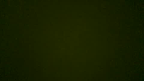 Snapshot of stensurfarn chatting on 05/26/26, 08:10 stensurfarn online show from 05/26/26, 08:10