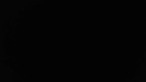 Stew Pididiot online show from 10/02/25, 12:39