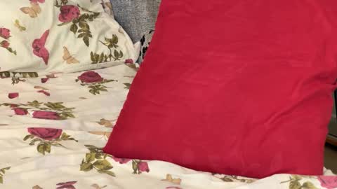 Chris online show from 10/14/25, 08:37