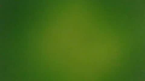 stonedandlovingit online show from 03/03/25, 01:42