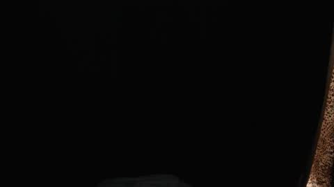 stonenipple online show from 11/26/25, 06:47