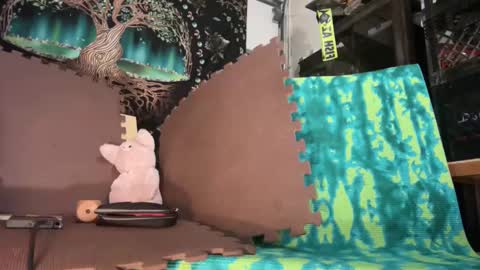 Str8 online show from 12/19/24, 10:34