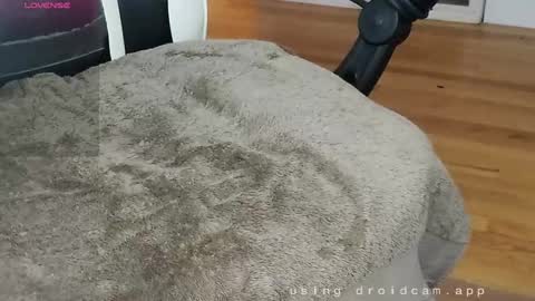 Snapshot of straighteight88 chatting on 12/25/24, 06:31 straighteight88 online show from 12/25/24, 06:31