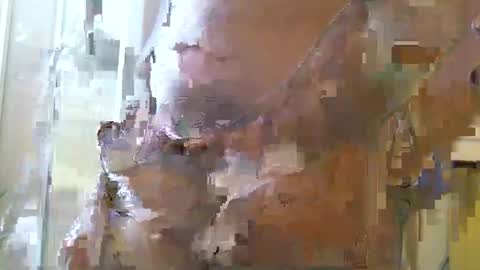 Snapshot of straightstroker81 chatting on 12/11/24, 06:58 straightstroker81 online show from 12/11/24, 06:58