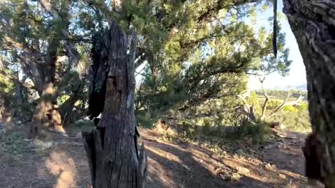 Stag online show from 10/06/25, 11:46