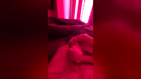 strarktyy44 online show from 06/20/26, 10:18