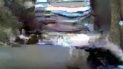 submissive_slut001 online show from 01/12/25, 11:50