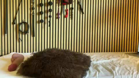 Submissive Slut online show from 07/17/26, 07:37