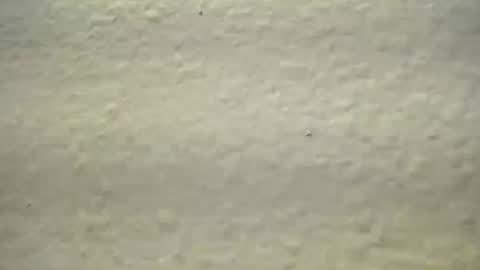 subswitchuser online show from 10/03/25, 01:52