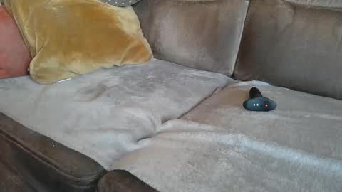 Suessli online show from 10/22/25, 07:08