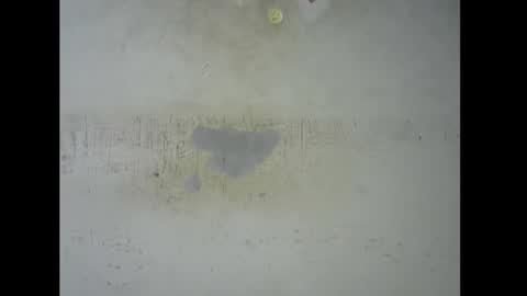 Bella online show from 11/09/25, 05:44