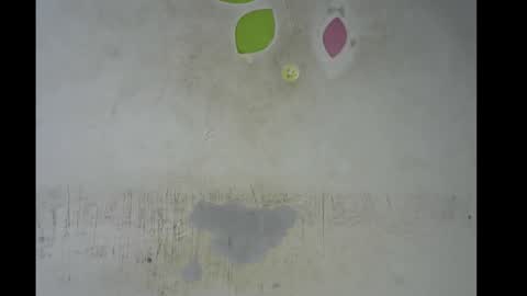 Bella online show from 11/11/25, 08:58