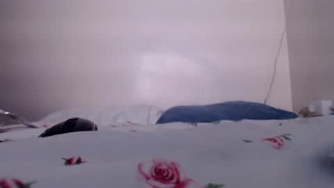 sukmykis online show from 12/17/24, 05:51