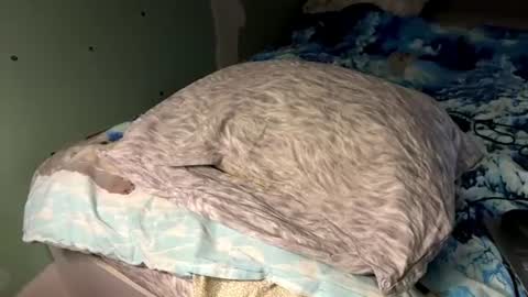 Sexy Nurse Girl online show from 06/21/26, 06:10