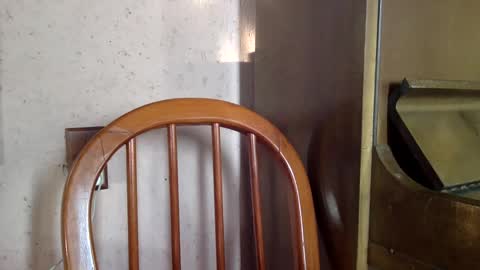 Snapshot of sumjang chatting on 02/16/25, 08:33 Sumjang and Luksmen online show from 02/16/25, 08:33